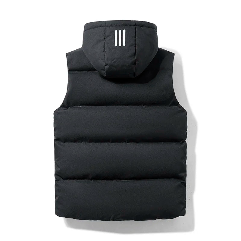 Zeno Vest 2